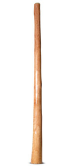 Natural Finish Bell Didgeridoo (TW1816)